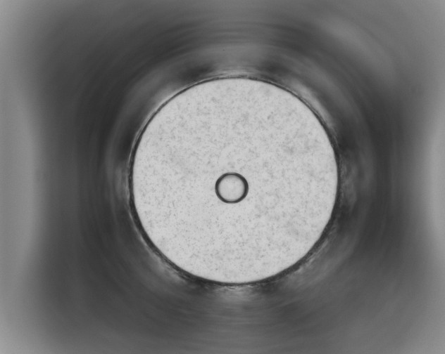 X0000115680810200911191052