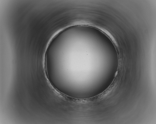 X0000115680815200911191052