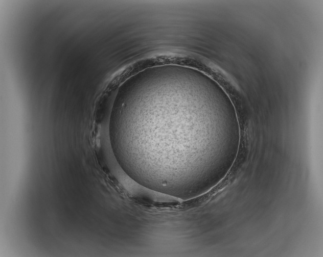 X0000115680822200911191052