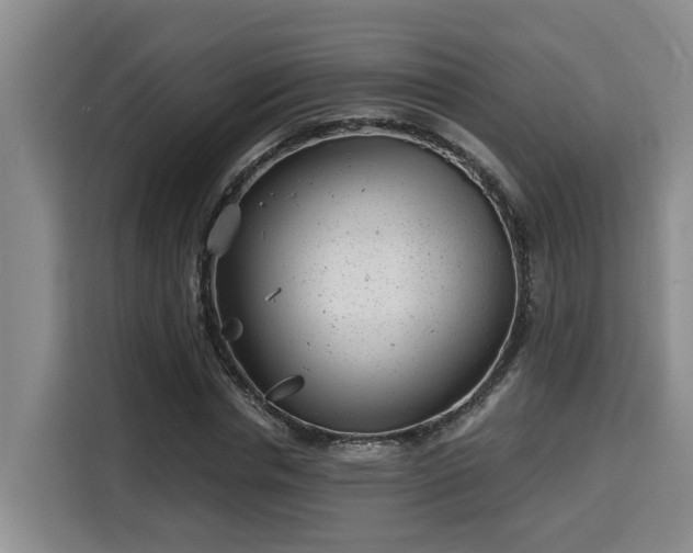 X0000115680826200911191052