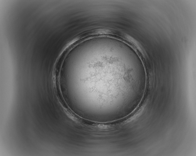 X0000115680827200911191052