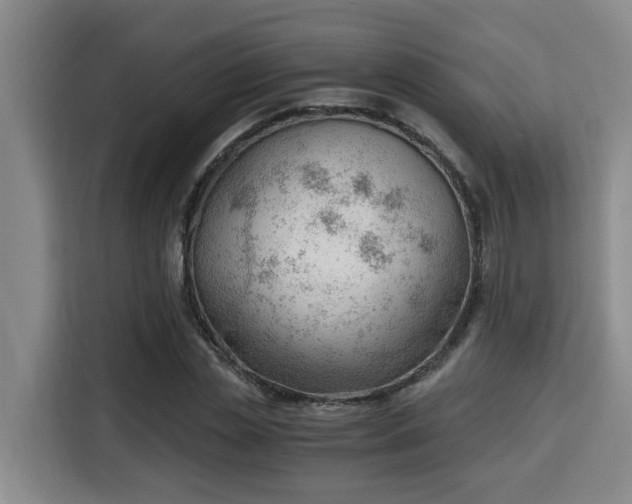 X0000115680829200911191052