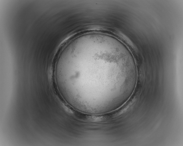 X0000115680831200911191052