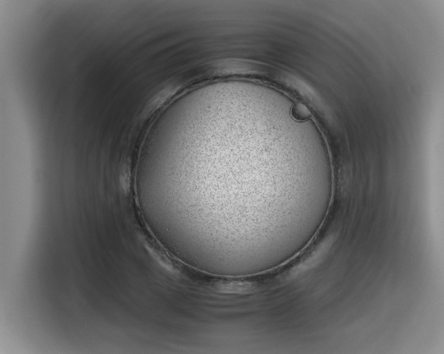 X0000115680833200911191052