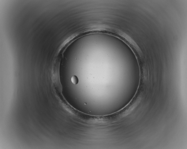 X0000115680834200911191052