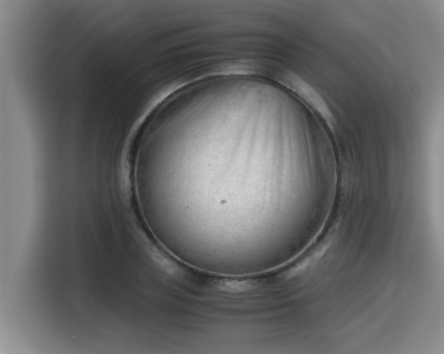 X0000115680835200911191052