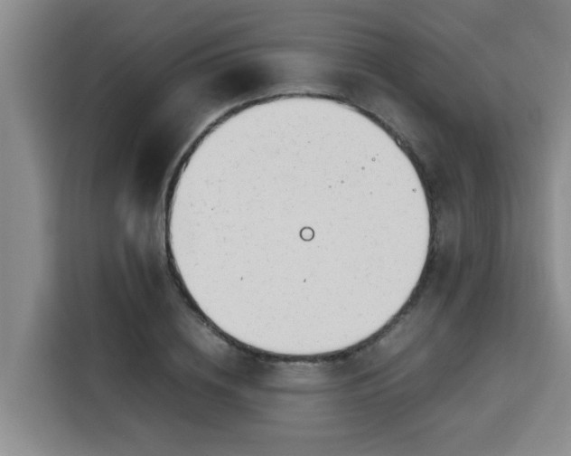 X0000115680836200911191052