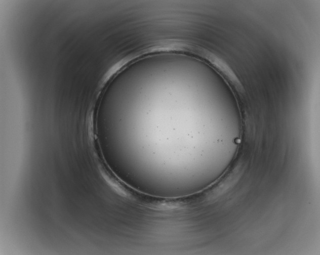 X0000115680842200911191052