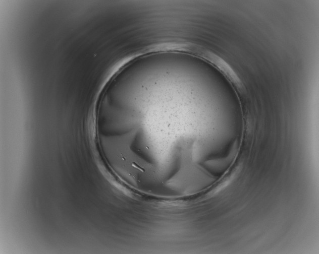 X0000115680844200911191052