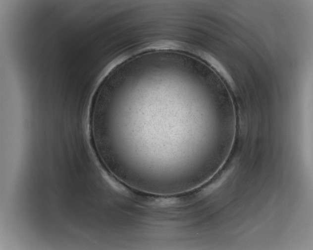 X0000115680845200911191052