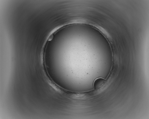 X0000115680846200911191052