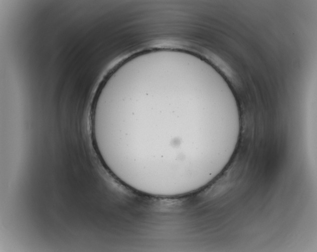 X0000115680848200911191052