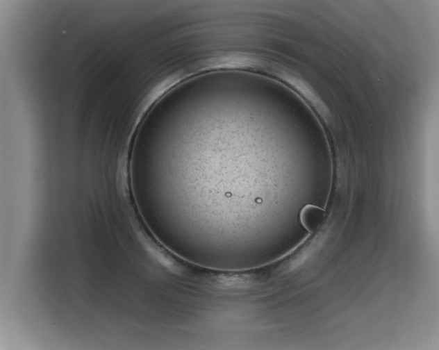 X0000115680850200911191052