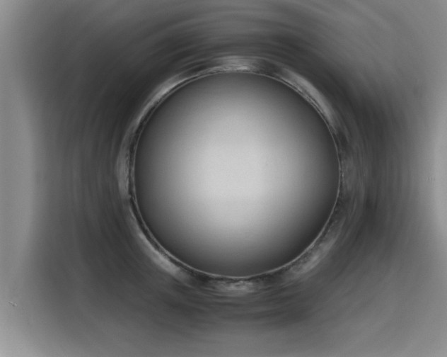 X0000115680851200911191052