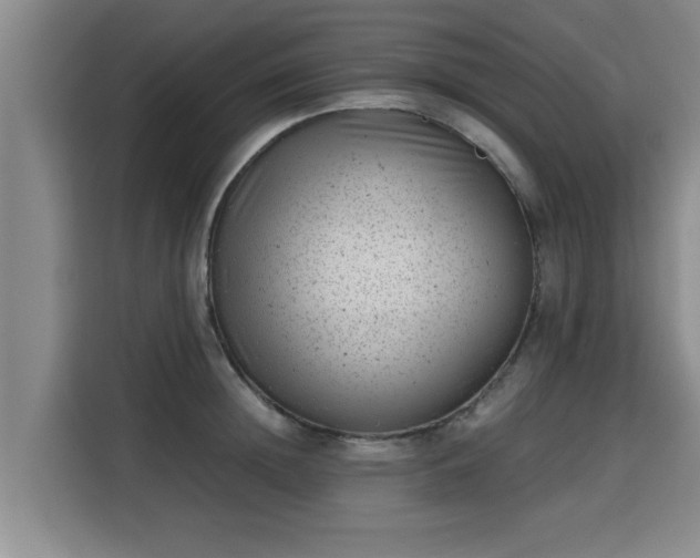 X0000115680852200911191052