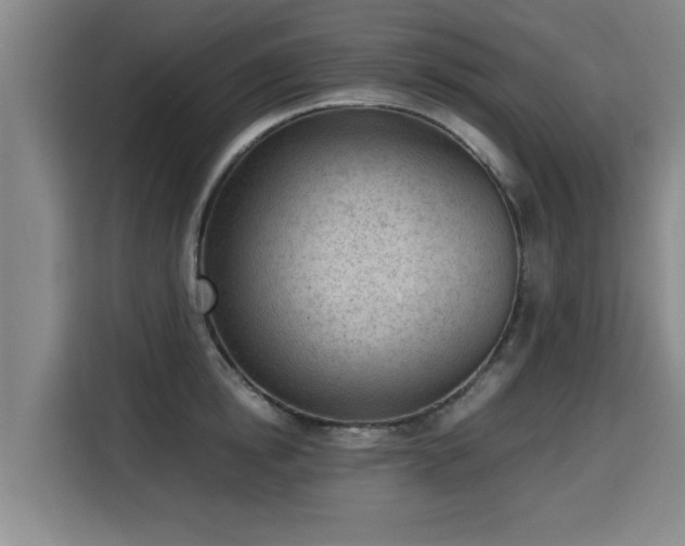 X0000115680854200911191052