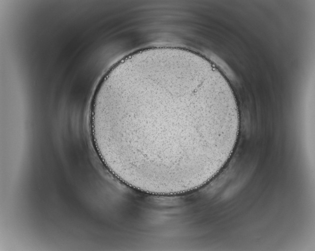 X0000115680856200911191052