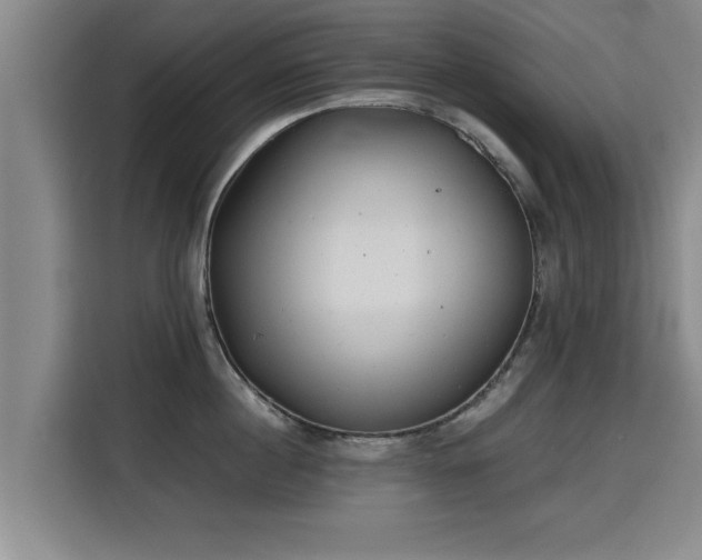 X0000115680860200911191052