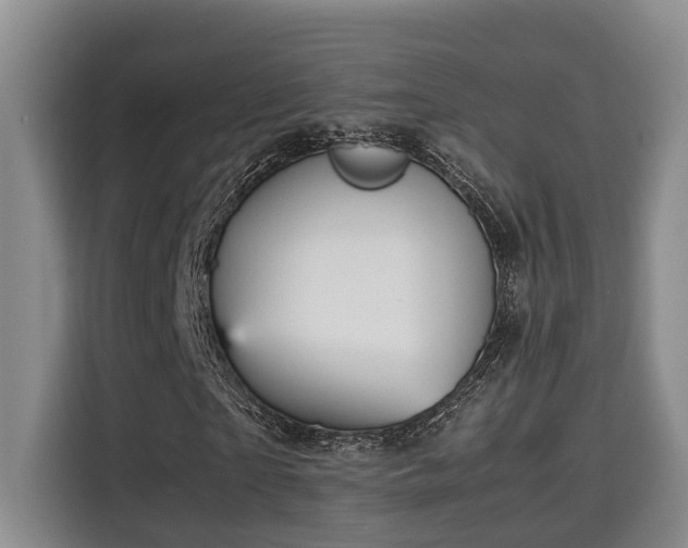 X0000115680865200911191052