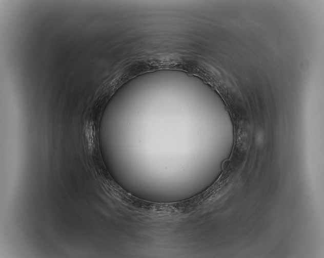 X0000115680866200911191052