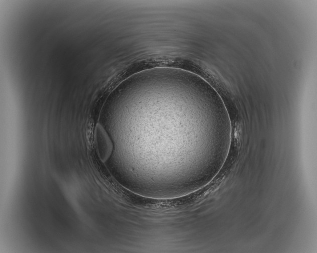 X0000115680867200911191052