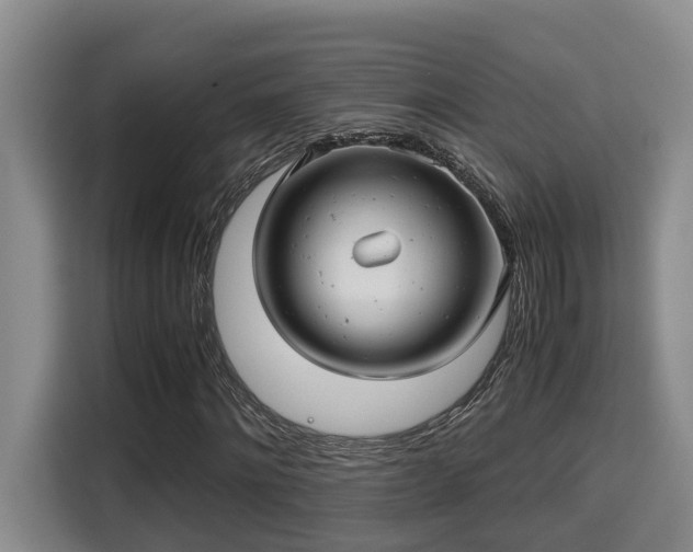 X0000115680868200911191052