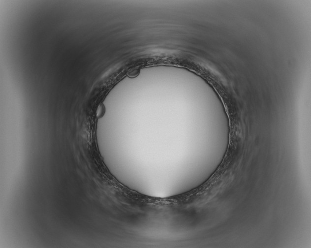 X0000115680869200911191052