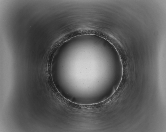 X0000115680870200911191052