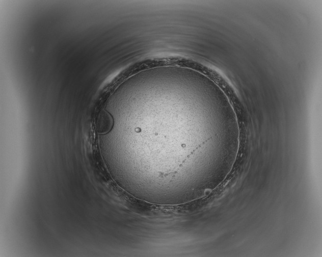 X0000115680871200911191052