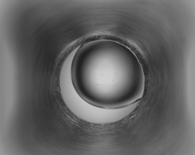 X0000115680872200911191052