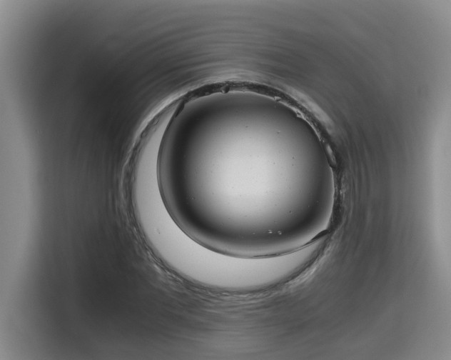 X0000115680877200911191052