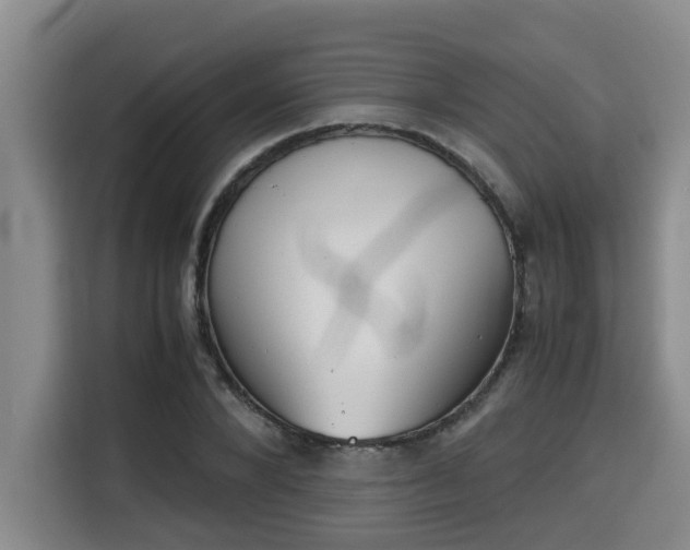 X0000115680880200911191052