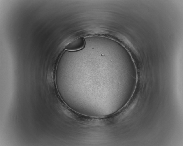 X0000115680881200911191052