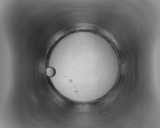 X0000115680882200911191052