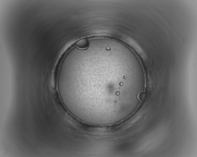 X0000115680883200911191052