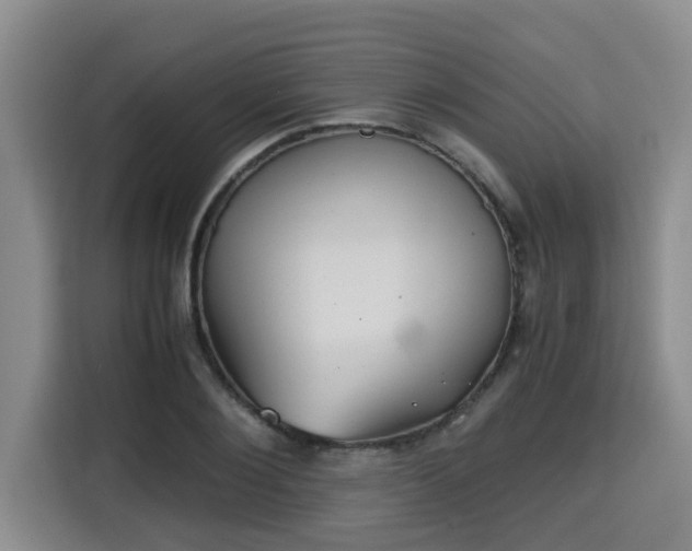 X0000115680884200911191052