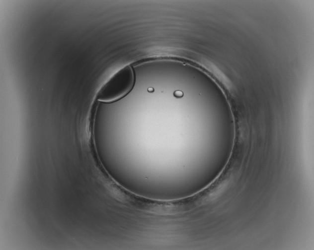 X0000115680885200911191051