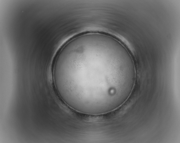 X0000115680887200911191051