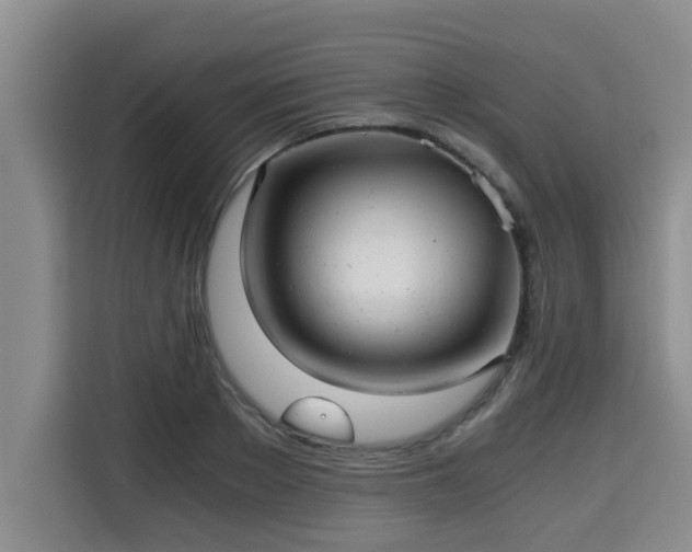 X0000115680889200911191051