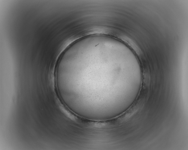 X0000115680890200911191051