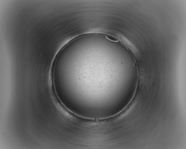 X0000115680892200911191051