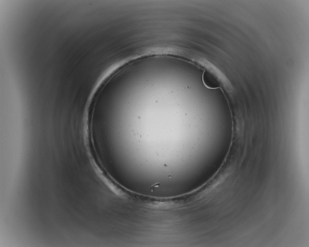 X0000115680894200911191051