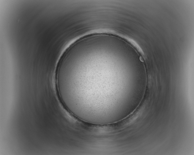 X0000115680895200911191051