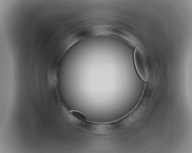 X0000115680897200911191051