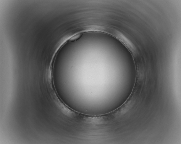 X0000115680900200911191051