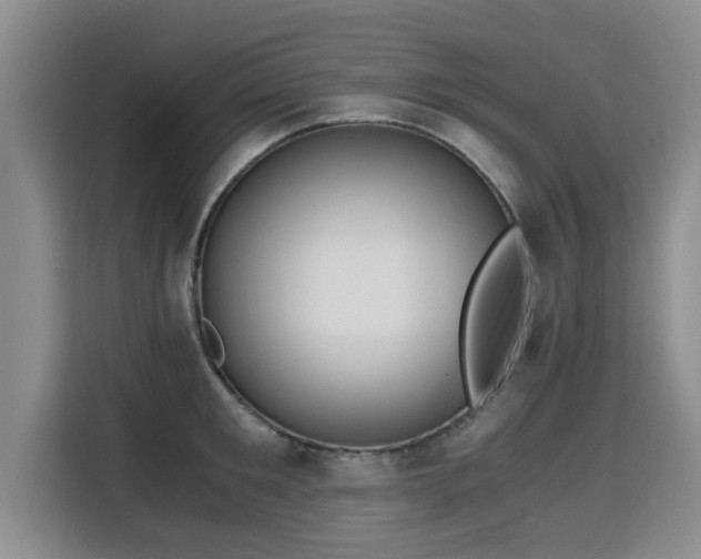 X0000115680901200911191051