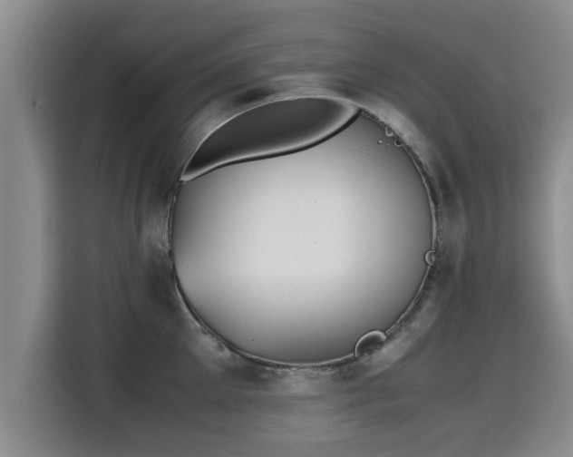 X0000115680905200911191051