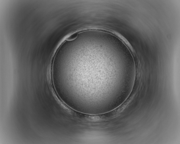 X0000115680911200911191051