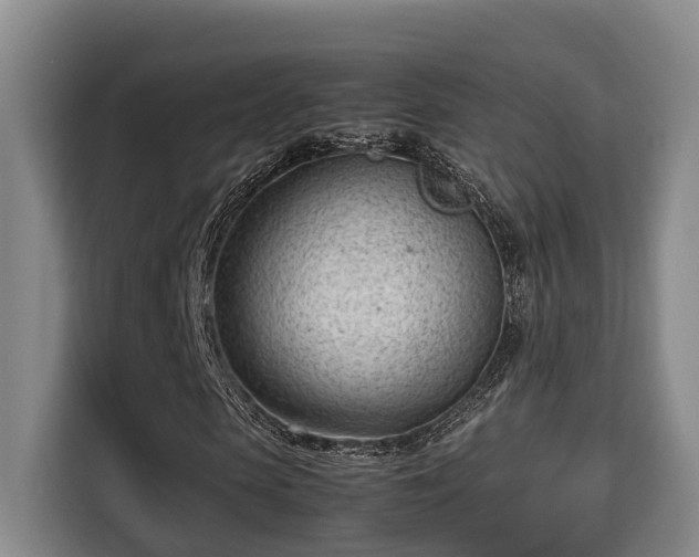 X0000115680913200911191051