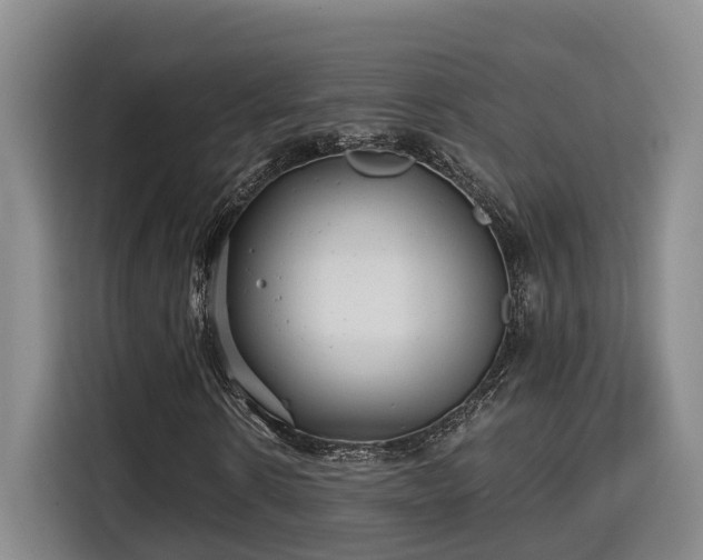 X0000115680914200911191051